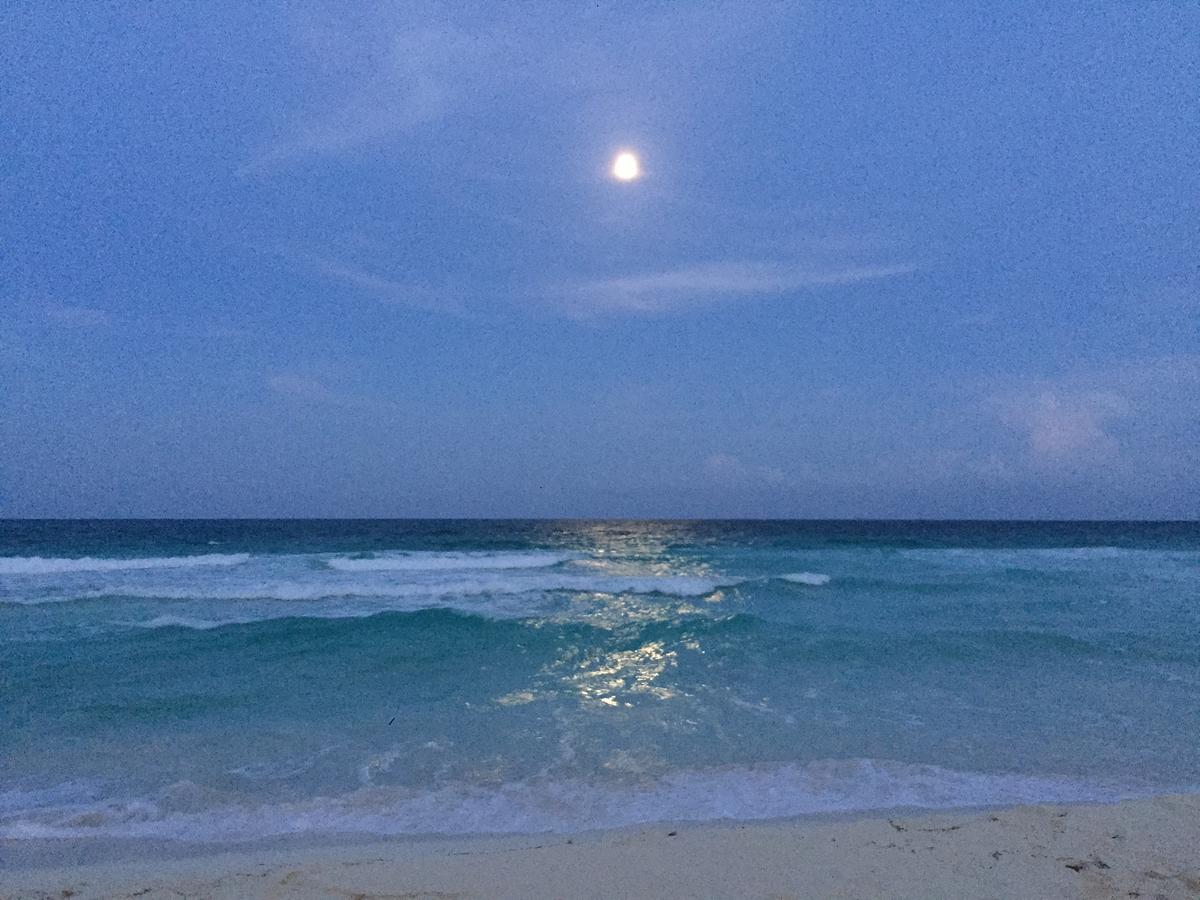Ocean View Apartment Cancún Eksteriør bilde